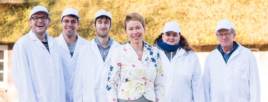 Flügelchen Honig Team